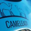 cameleasy saddle coque
